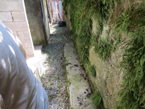 Vente / Local Industriel / Bâtiment