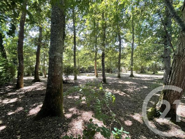 Terrain à vendre  850 m2 HOURTIN - 33