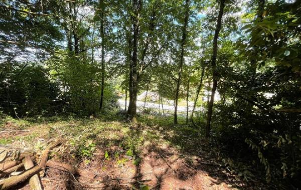 Vente Terrain Bosmie-l'aiguille   