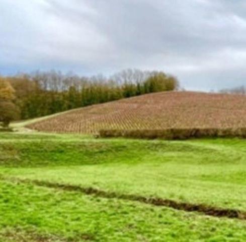 Ideal pour un projet immobilier au coeur du vignoble à proximité des commodités