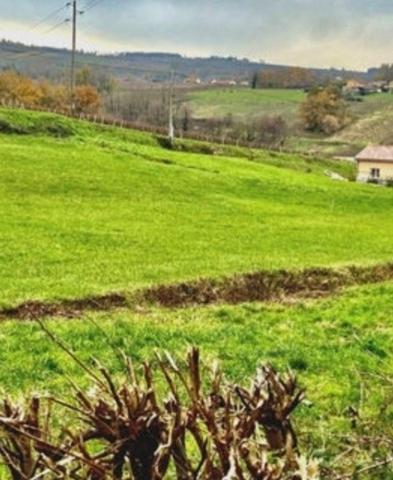 Ideal pour un projet immobilier au coeur du vignoble à proximité des commodités