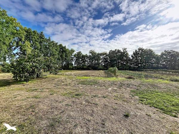 Maison 234 300 € Saligny 4 p 103 m² DPE D