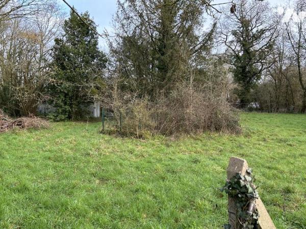 Terrain à bâtir en zone Ub – Rouans, cadre agréable en campagne