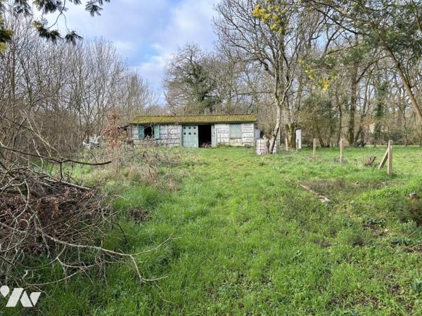 Terrain à bâtir en zone Ub – Rouans, cadre agréable en campagne