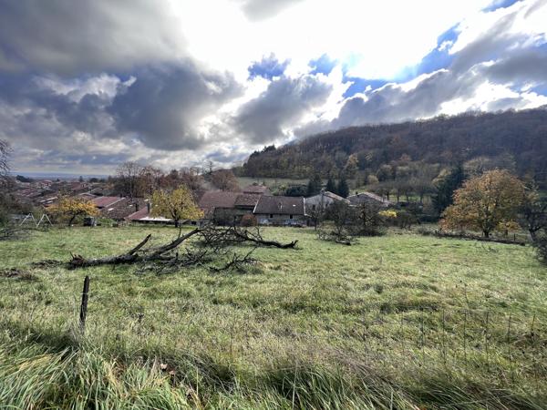 CHARMANTE MAISON LORRAINE A VIEVILLE