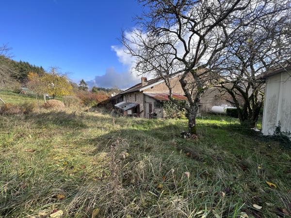 CHARMANTE MAISON LORRAINE A VIEVILLE
