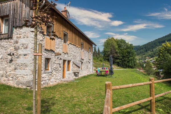 Dpt Vosges (88), à vendre LA BRESSE gite en pierre P9 de 284,15 m² - Terrain de 3 700 m²