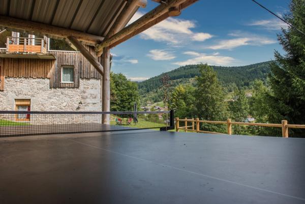 Dpt Vosges (88), à vendre LA BRESSE gite en pierre P9 de 284,15 m² - Terrain de 3 700 m²