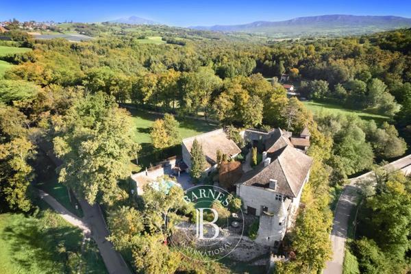 Annecy, Château 5 Chambres -  685 m² à vendre