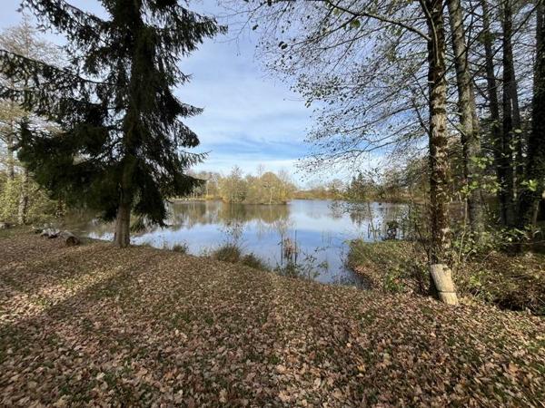 Terrain à vendre |  La Buxerette |  17526 m²