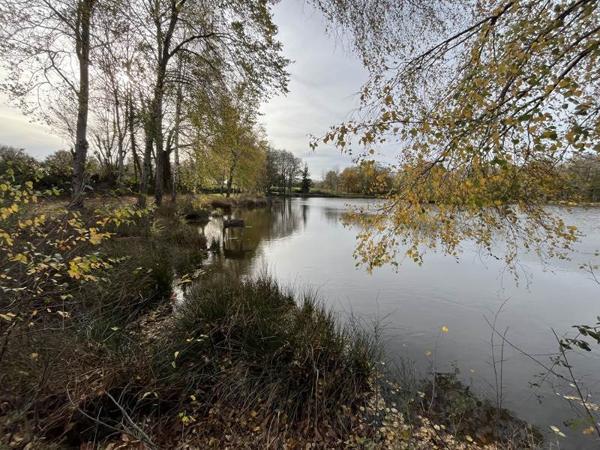 Terrain à vendre |  La Buxerette |  17526 m²