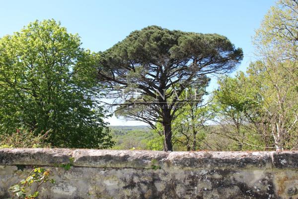 Vaste propriété de 74 ha en pleine nature à 1 heure de Bordeaux