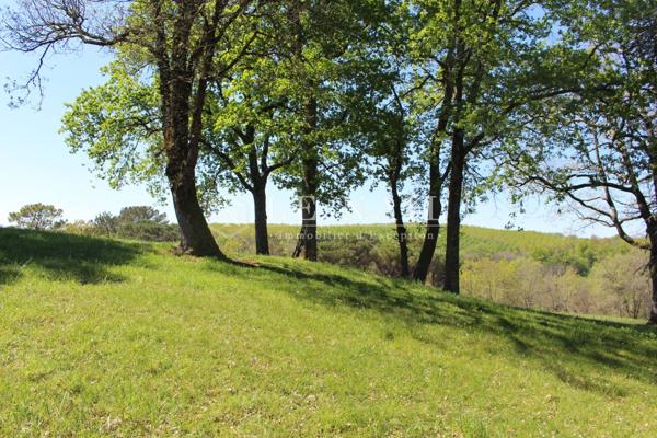 Vaste propriété de 74 ha en pleine nature à 1 heure de Bordeaux