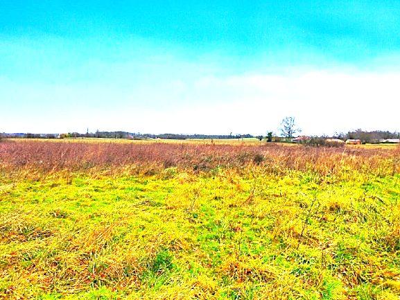 À vendre - Terrain projet construction 4133 m² situé à Aire-sur-l'Adour (40800)