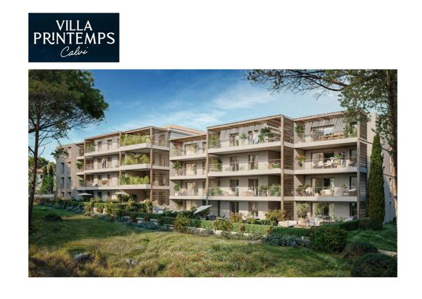 GRAND T2/ T3 NEUF BAIE DE CALVI