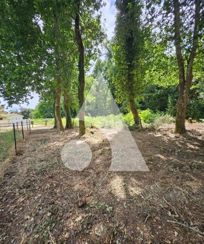 Terrain 584 m2