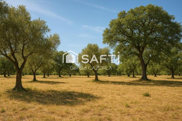 Superbe terrain à bâtir.