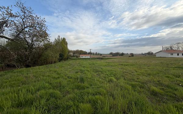 Terrain à vendre    Montaut