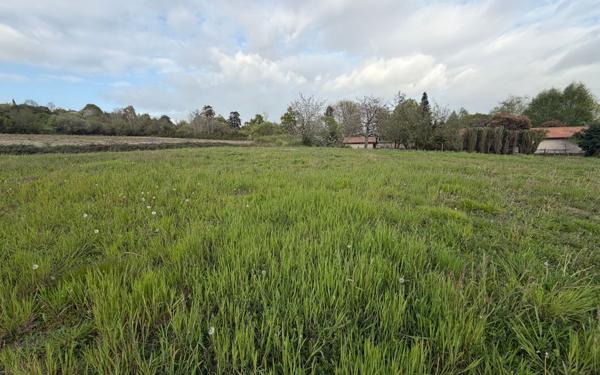 Terrain à vendre    Montaut