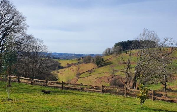 Vente Maison ossature bois 2019 Laguenne   