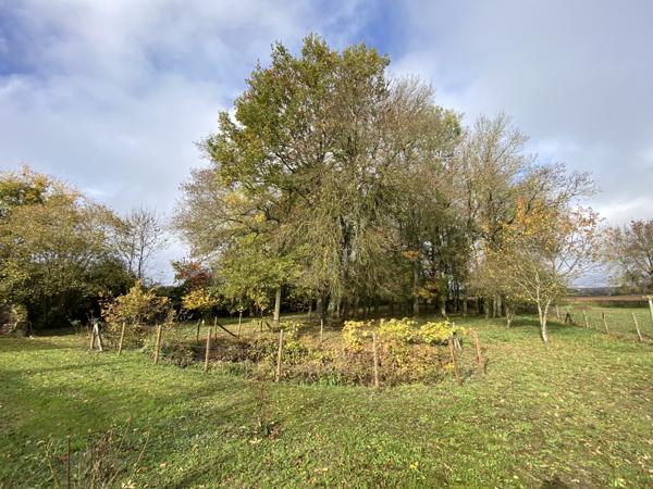 Savonnières (37510)