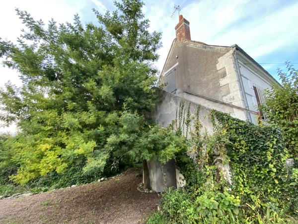 Savonnières (37510)