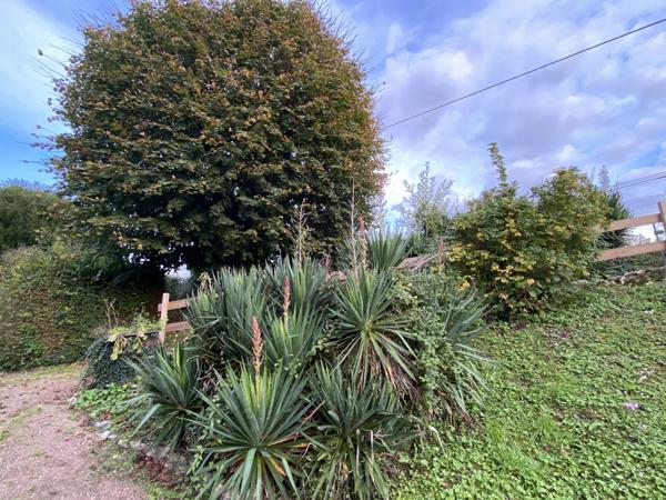 Savonnières (37510)