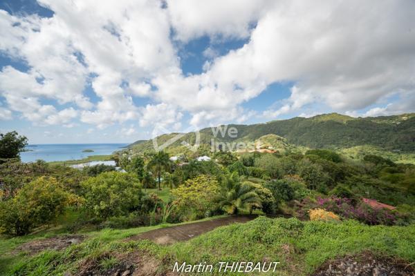 Un panorama d’exception pour bâtir la maison dont vous rêvez