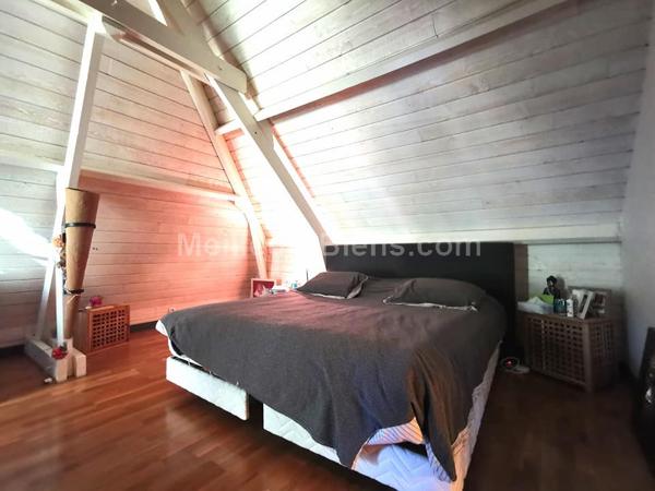 Semi Plain-Pied 250 m2, 5 chambres,  Parc Arboré, Piscine Maubeuge