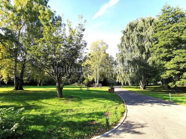 Semi Plain-Pied 250 m2, 5 chambres,  Parc Arboré, Piscine Maubeuge