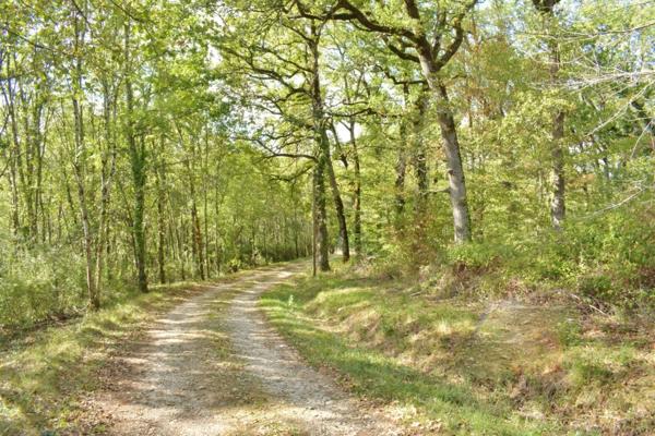 Ravissante propriété sur 12 Ha attenants, très calme sans voisinage Gourdon