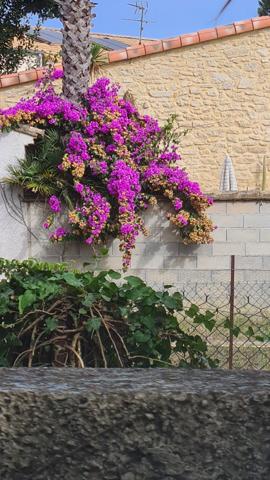 Lavérune (34880) Laverune Maison de ville+garage +T2. Un petit havre de paix