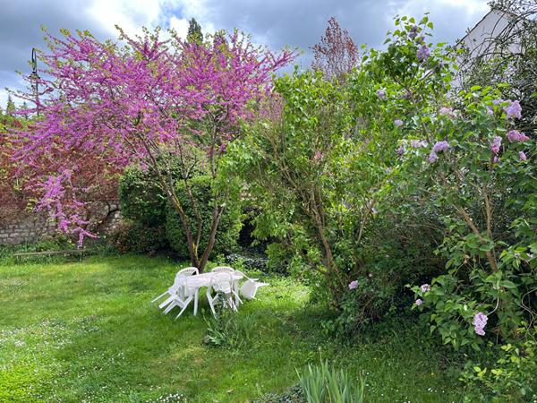 Achat maison L'Isle-Adam - 7 pièce(s) - 140 m² - 650 000 €