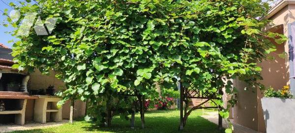 EXCLUSIVITÉ - SAINT-MARS-LA-REORTHE - Au calme et entouré d'un magnifique jardin arboré, découv...
