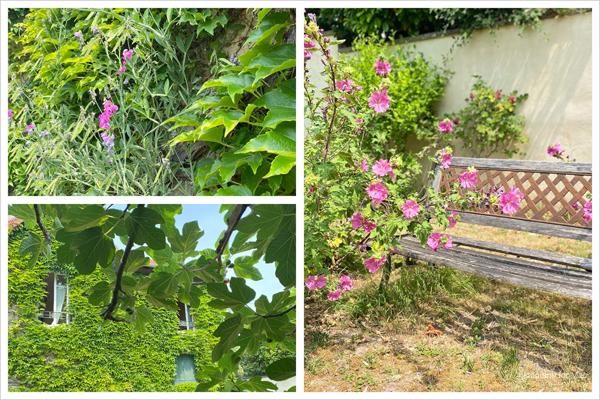 Maison de charme individuelle de 90m2 & jardin à 10 mn à pied des écoles et commerces