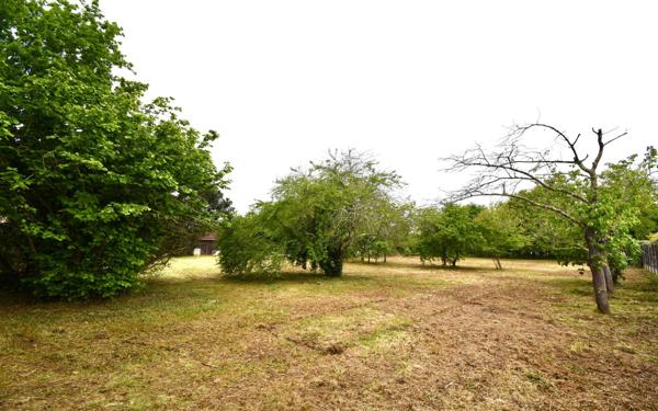 Terrain à vendre    Tosse