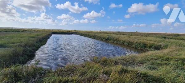A vendre  en Charente Maritime LE GUA, SOUHE Marais de 32 claires avec cabane en bon état de 21...