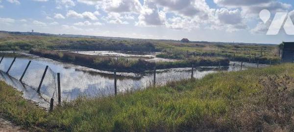 A vendre  en Charente Maritime LE GUA, SOUHE Marais de 32 claires avec cabane en bon état de 21...