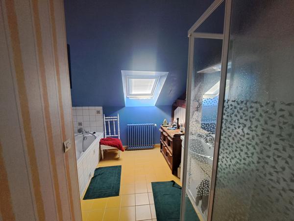 A VENDRE- MAISON DE CHARME A LA FLECHE