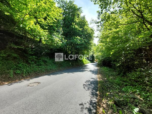 Achat terrain Villerupt - 3211 m² - 379 500 €