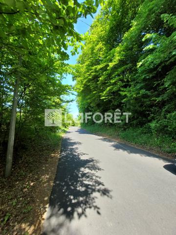 Achat terrain Villerupt - 3211 m² - 379 500 €