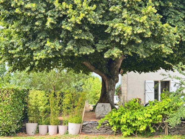 PROPRIÉTÉ DE CARACTÈRE EN BORD DE LOIRE – 210 m² – 2470 m² DE TERRAIN – LES PONTS-DE-CÉ