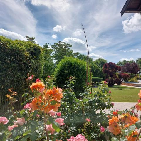 Maison à vendre 13 pièces MONTAUBAN (82), salle de reception, parking, bureaux, cave, dépendances,  parc de 8000m2, 2 entrées indépendantes