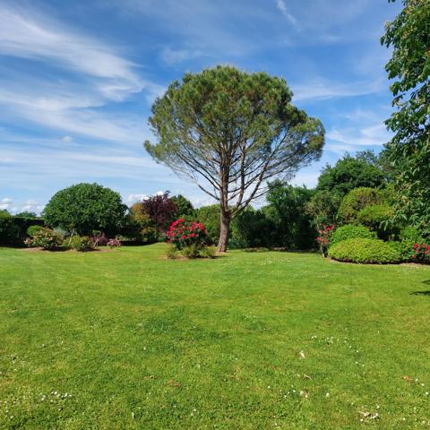 Maison à vendre 13 pièces MONTAUBAN (82), salle de reception, parking, bureaux, cave, dépendances,  parc de 8000m2, 2 entrées indépendantes