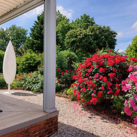 Maison à vendre 13 pièces MONTAUBAN (82), salle de reception, parking, bureaux, cave, dépendances,  parc de 8000m2, 2 entrées indépendantes