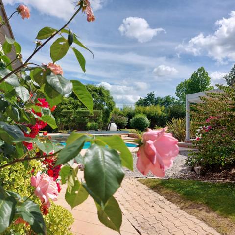 Maison à vendre 13 pièces MONTAUBAN (82), salle de reception, parking, bureaux, cave, dépendances,  parc de 8000m2, 2 entrées indépendantes