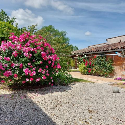 Maison à vendre 13 pièces MONTAUBAN (82), salle de reception, parking, bureaux, cave, dépendances,  parc de 8000m2, 2 entrées indépendantes