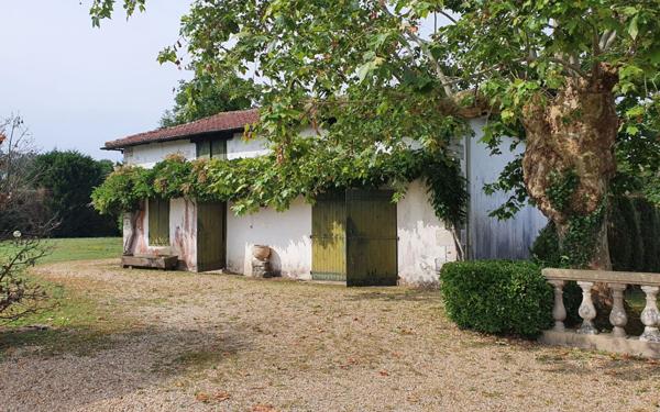 Maison à vendre    8 pièces •  Bénesse-Maremne