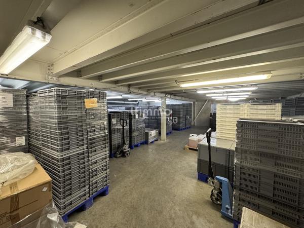 Ensemble immobilier industriel à Wittenheim (68270) - Haut-Rhin