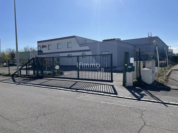 Ensemble immobilier industriel à Wittenheim (68270) - Haut-Rhin